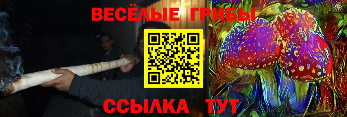 Галлюциногенные грибы Psilocybine cubensis  Псилоцибиновые грибы Psilocybe  Балашов  Вход с VPN 